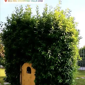Oasi , San Giuliano Terme Italien